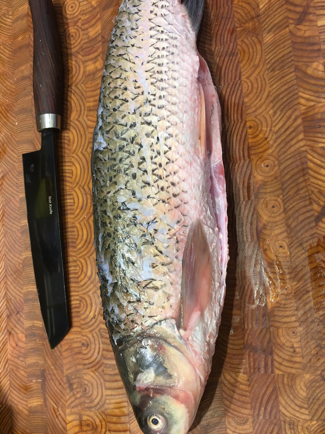 酸菜鱼家庭简单做法食材,酸菜鱼家庭做法详细教程