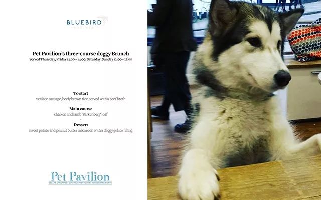 当狗炫起富来根本没人什么事儿了