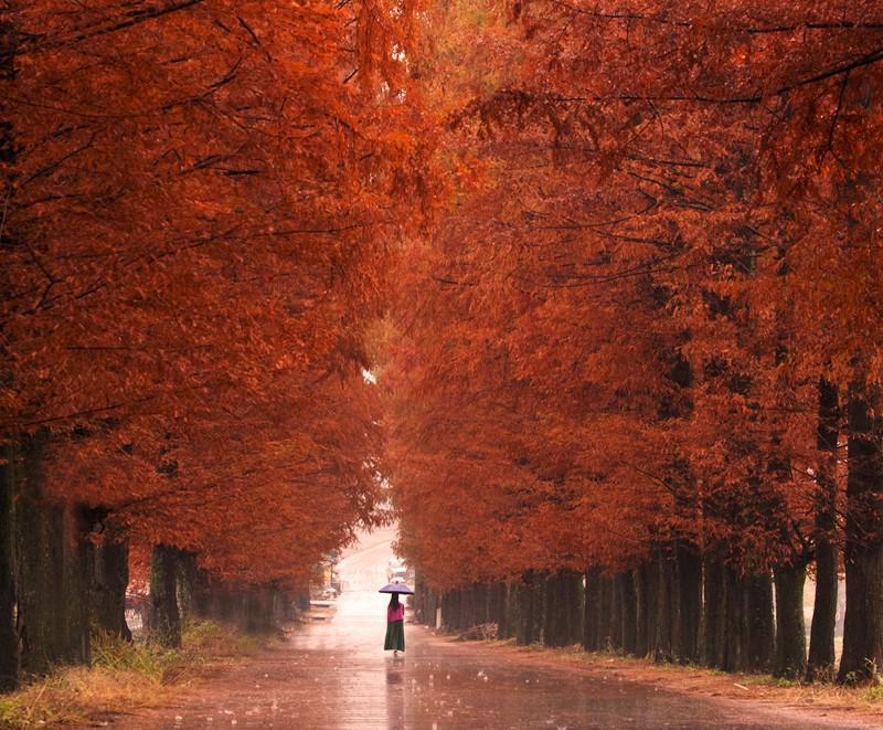 黄冈，这里不只有学霸和试卷