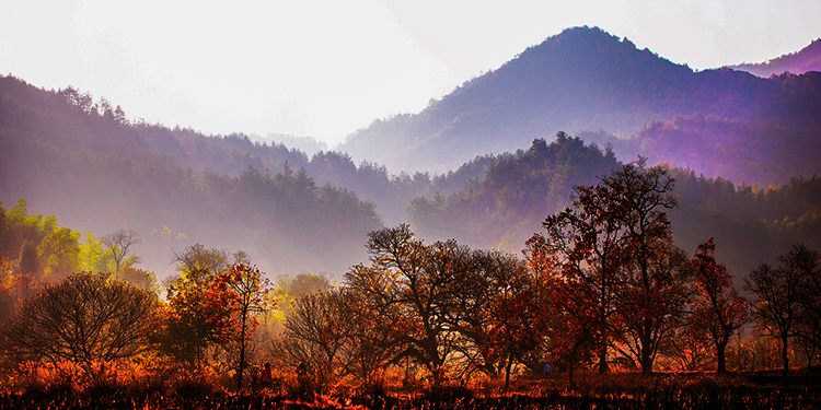 黄冈，这里不只有学霸和试卷