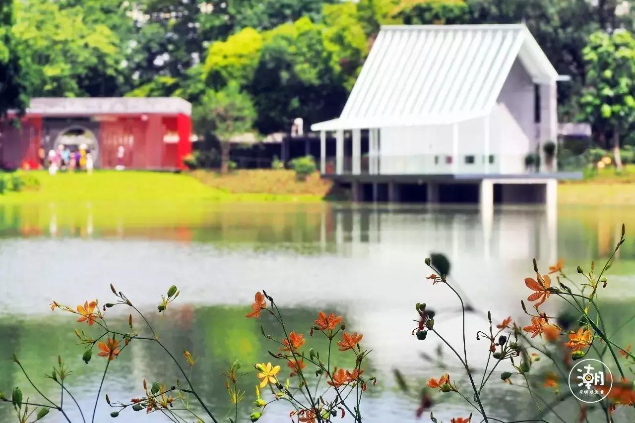 2018年这些统统免费！还有多笔钱入账！不知道你就亏了！