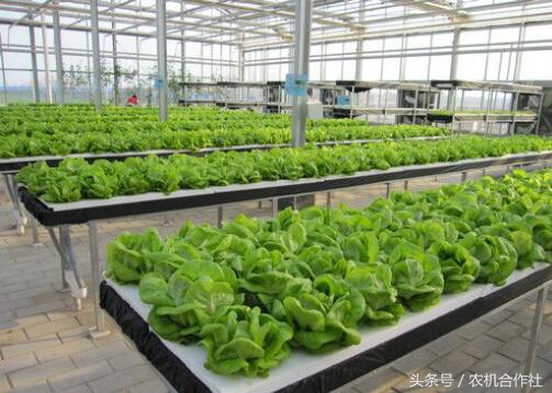 2021年农机合作社扶持政策,河南农机合作社柴油补贴政策