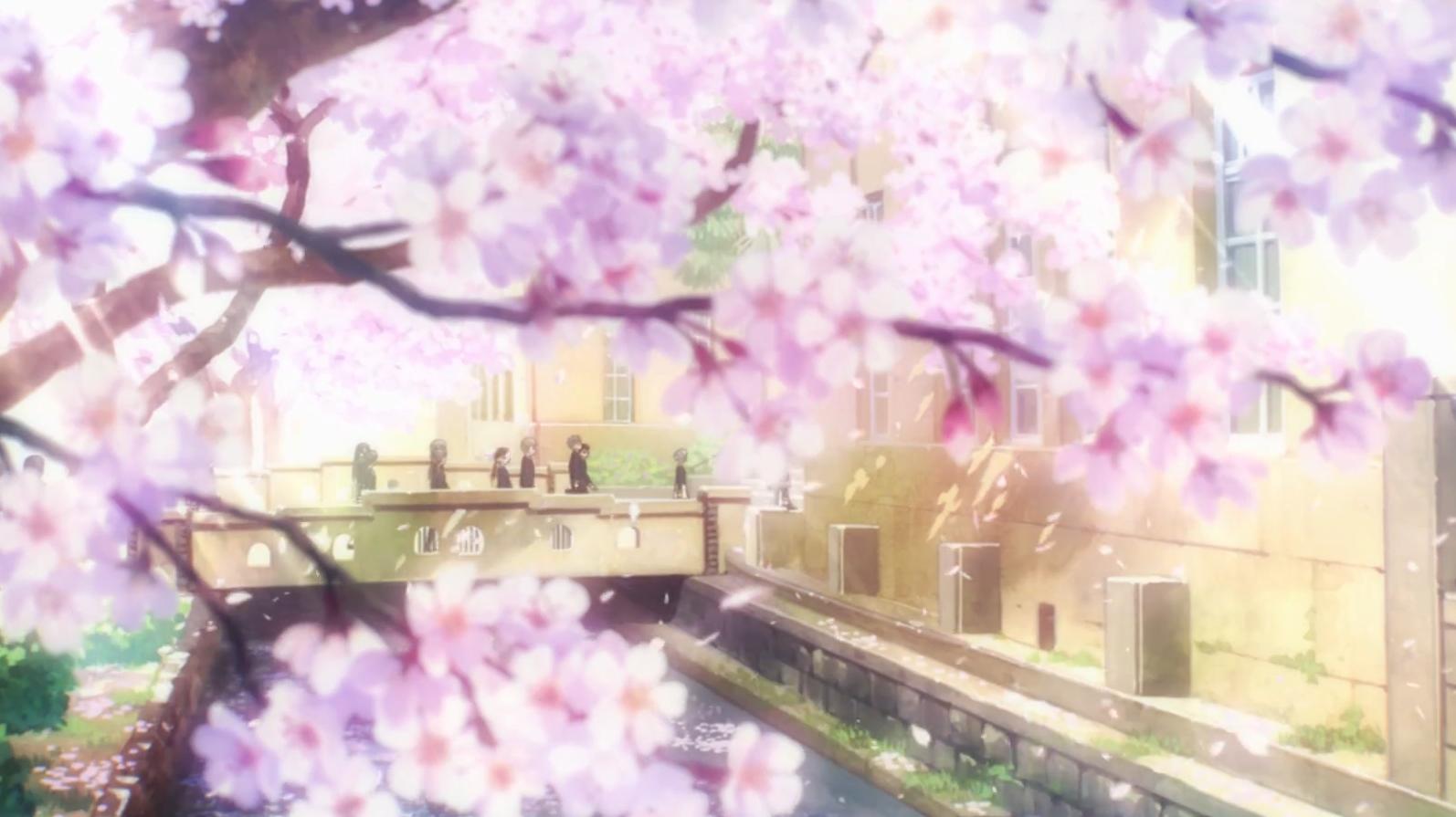 魔卡少女樱之透明卡牌樱狼大结局,2018年新番魔卡少女樱全集