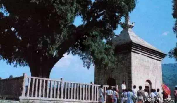 请回答80后完整版,请回答1988完整版