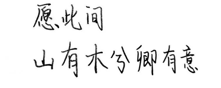 一句惊艳你的古风歌词,歌词中的惊艳古风句子