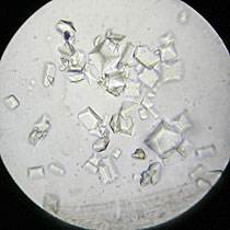 冬天，希望我们的尿不要像雪一样白