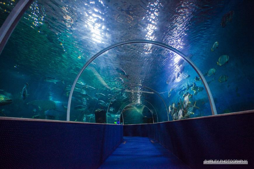 东南亚海岛奢华酒店,东南亚海岛度假酒店