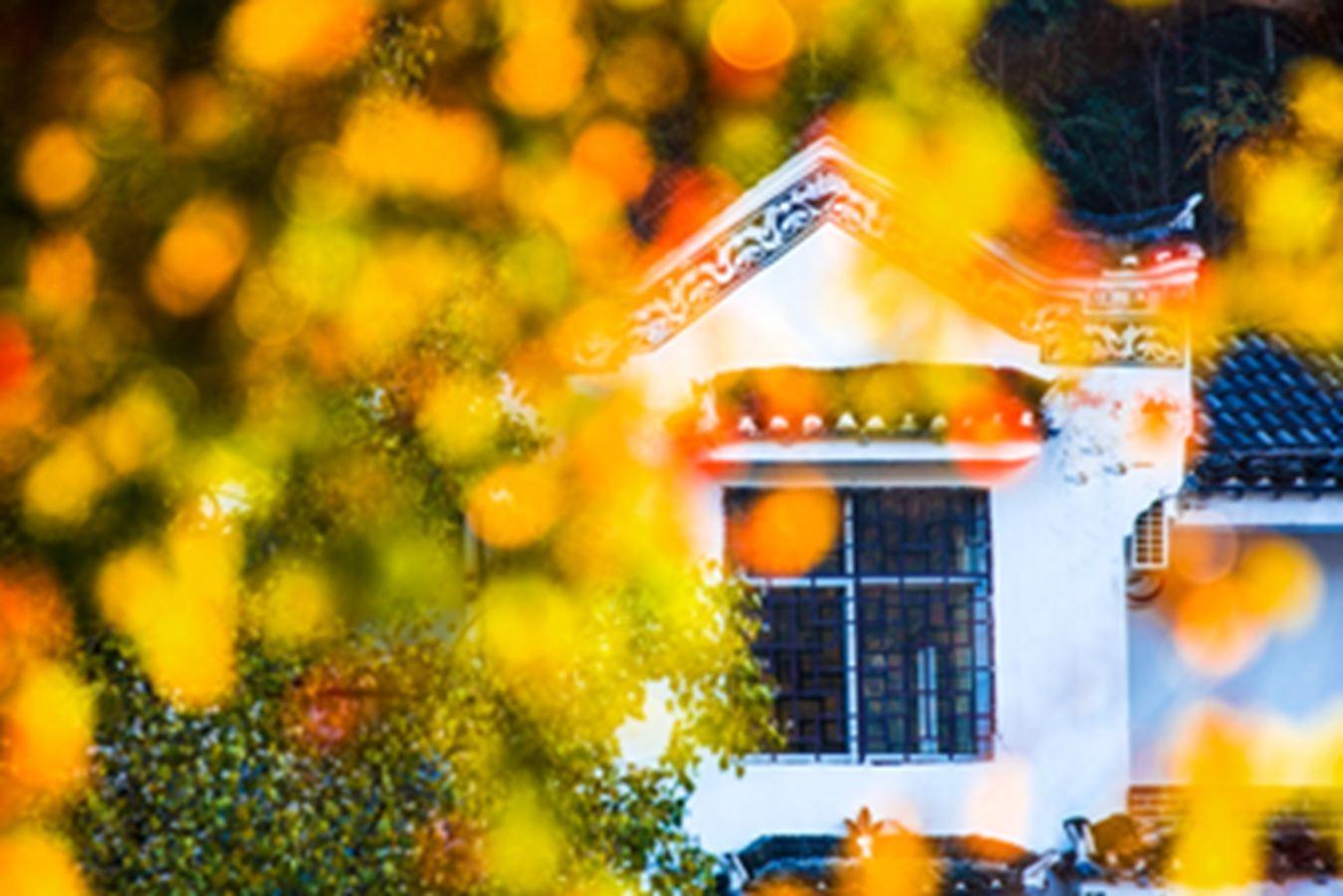 黄冈，这里不只有学霸和试卷