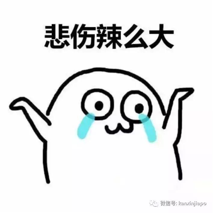 新加坡机顶盒违法,在新加坡看电视用什么软件