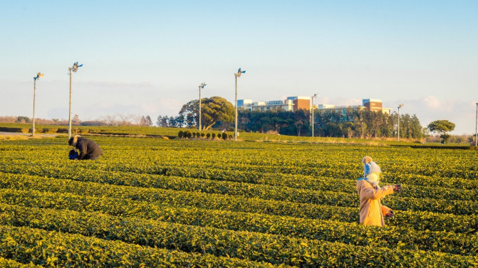 韩国济州岛攻略冬天,韩国济州岛值得去的地方