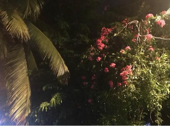 三亚吃喝玩乐亲身攻略