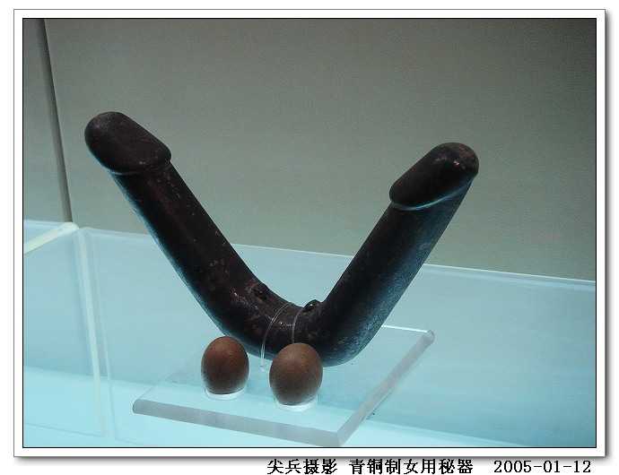 中国有哪些逆天的*物文**?