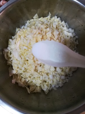 自制山东猪肉白菜大包子，按照这个步骤做就对了