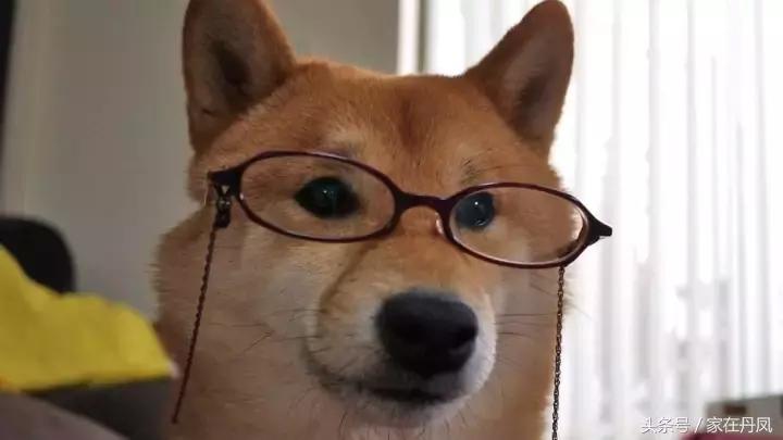 昨天晚上，大家都在广场抬头看一块屏幕！