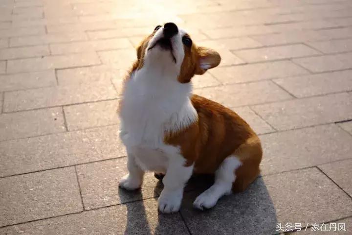 昨天晚上，大家都在广场抬头看一块屏幕！