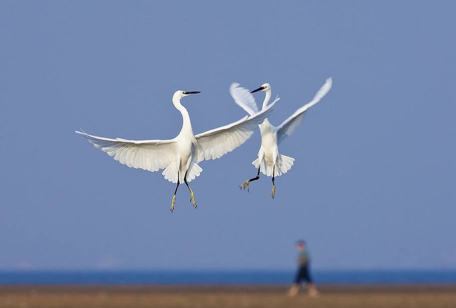 尼采名言每一个不曾起舞的清晨,尼采的名言每一个不曾起舞的日子