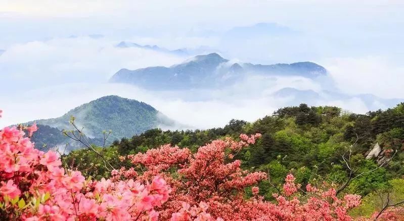黄冈，这里不只有学霸和试卷