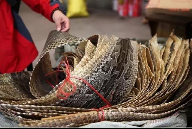 中国最大乐器厂在哪里,民族乐器四大基地