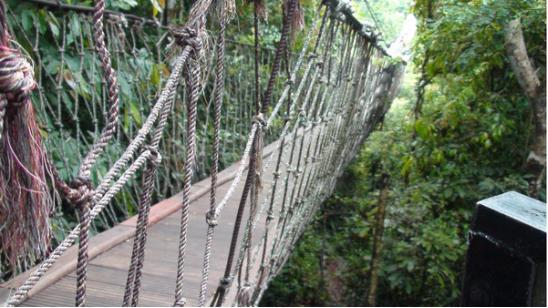 三亚吃喝玩乐亲身攻略