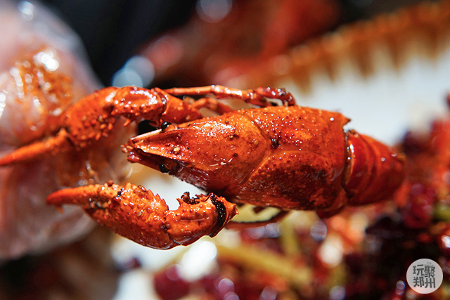 冬天都可以吃到品质好的龙虾店,冬天还能吃到小龙虾真好
