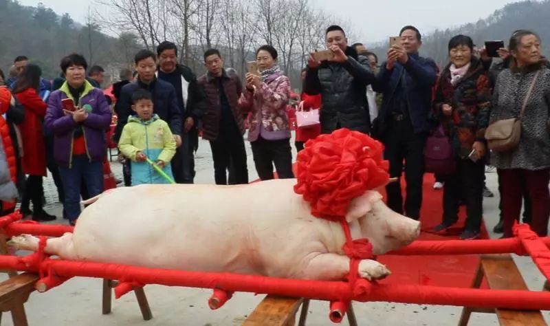 2020襄阳好风日旅游推介,襄阳十条精品旅游线路