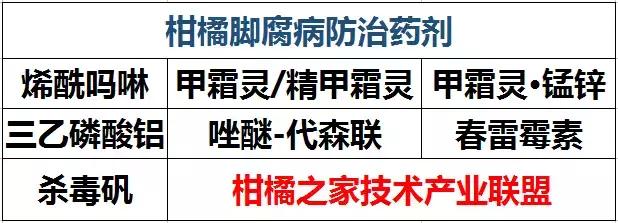 柑橘脚腐病防治视频,柑橘脚腐病是什么原因