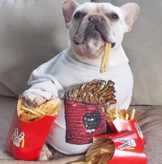 绉戝鍋ュ悍楂樻晥鍏荤墰鏂规硶,鍋ュ悍绉戝鍏荤墰