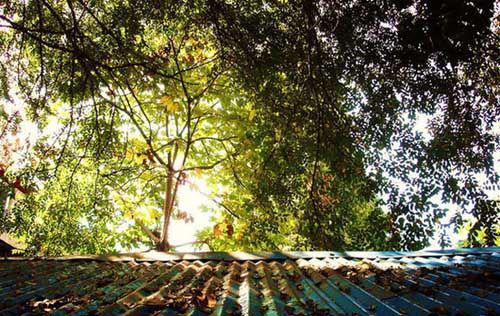 保利143方精装4房,保利悦都大户型面积