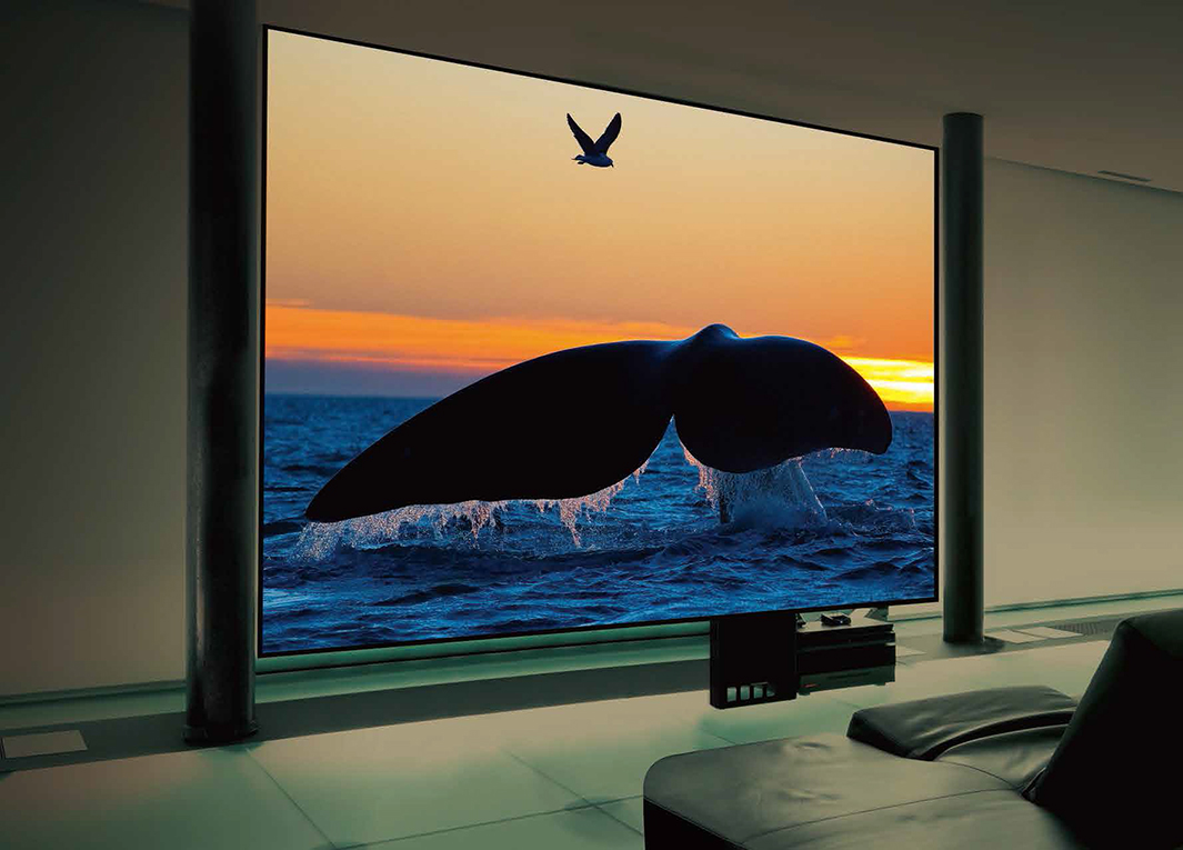 JVCD-ILA面世二十周年暨4KHDR新品发表会