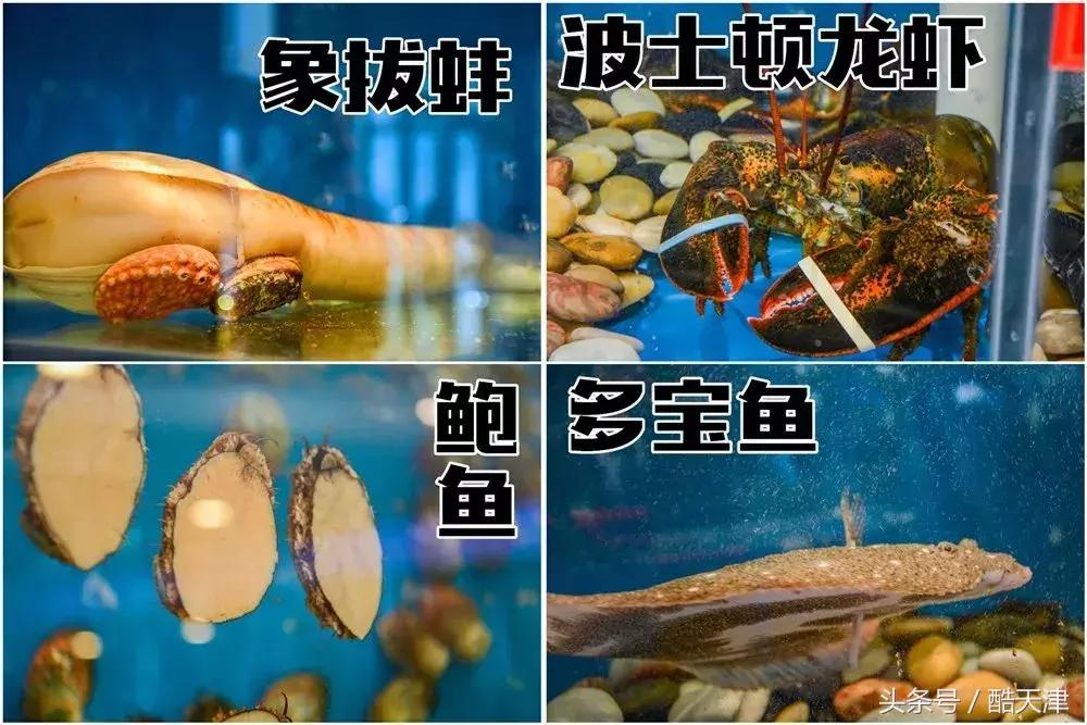 这家蒸汽海鲜真的很不错,蒸汽海鲜哪家最正宗