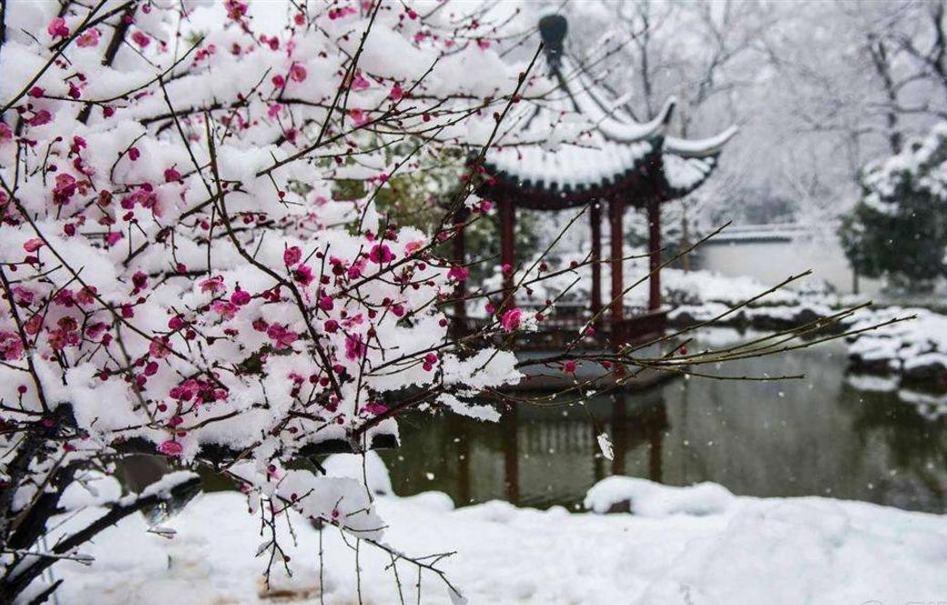 梅花情诗关于梅花古诗大全,历代咏梅花诗词大全