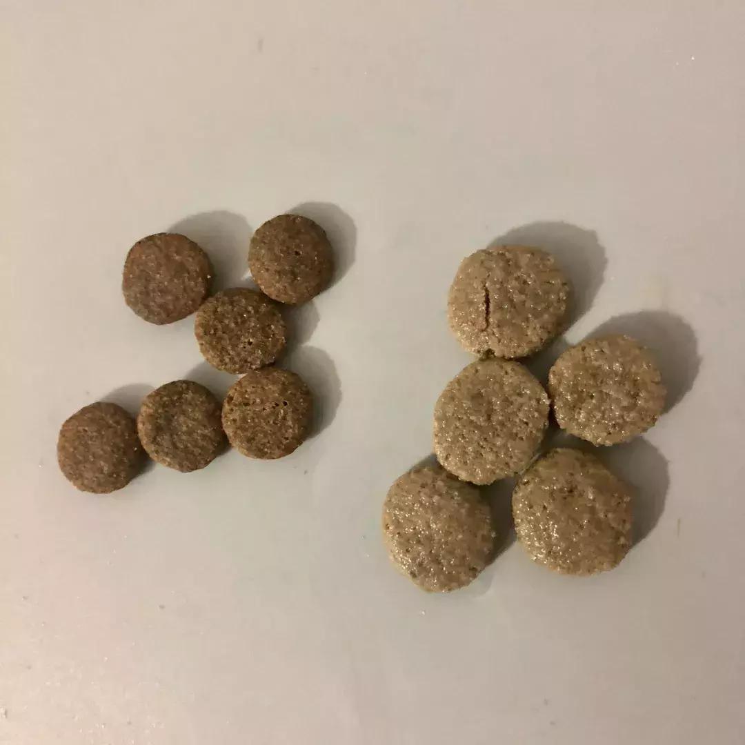 狗粮冠能品牌,狗粮品牌推荐冠能