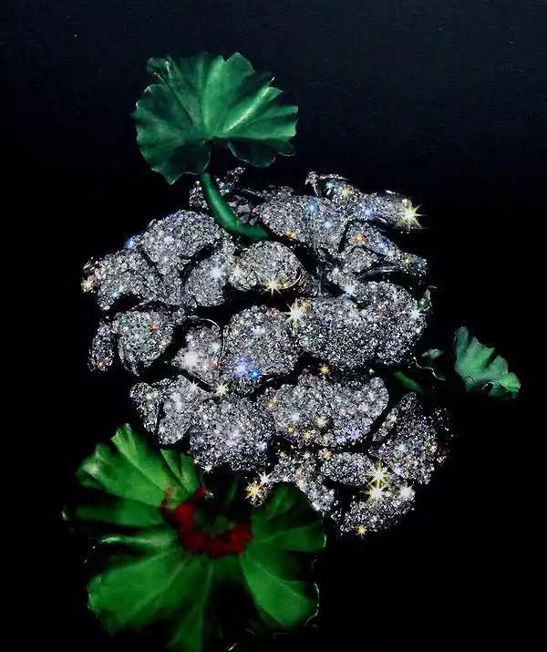 看完这5类珠宝设计,抛弃「猪精」,做维纳斯女孩吧