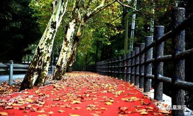 桐庐游玩好去处推荐,魔都人民