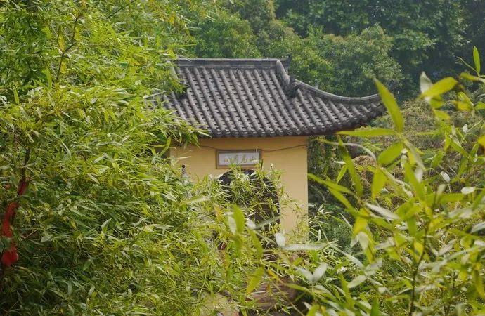 黄冈，这里不只有学霸和试卷