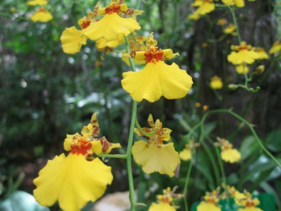 三亚吃喝玩乐亲身攻略