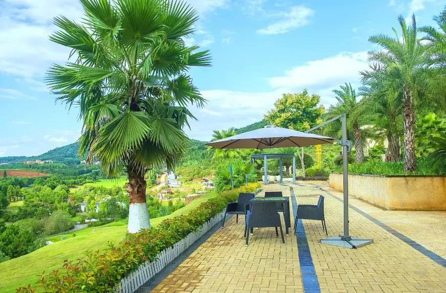 风水堪舆大师,中国风水大师讲皇陵