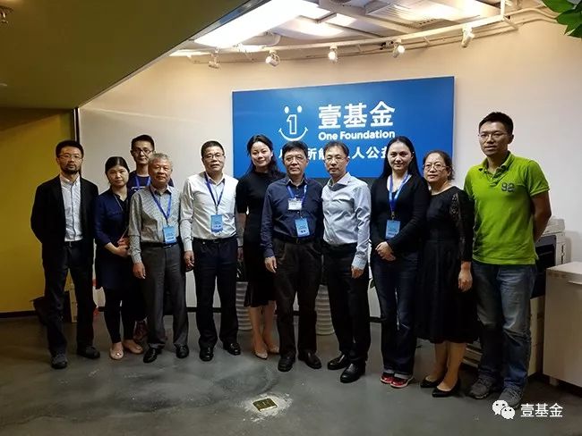 壹基金主要成就,壹基金的基本情况