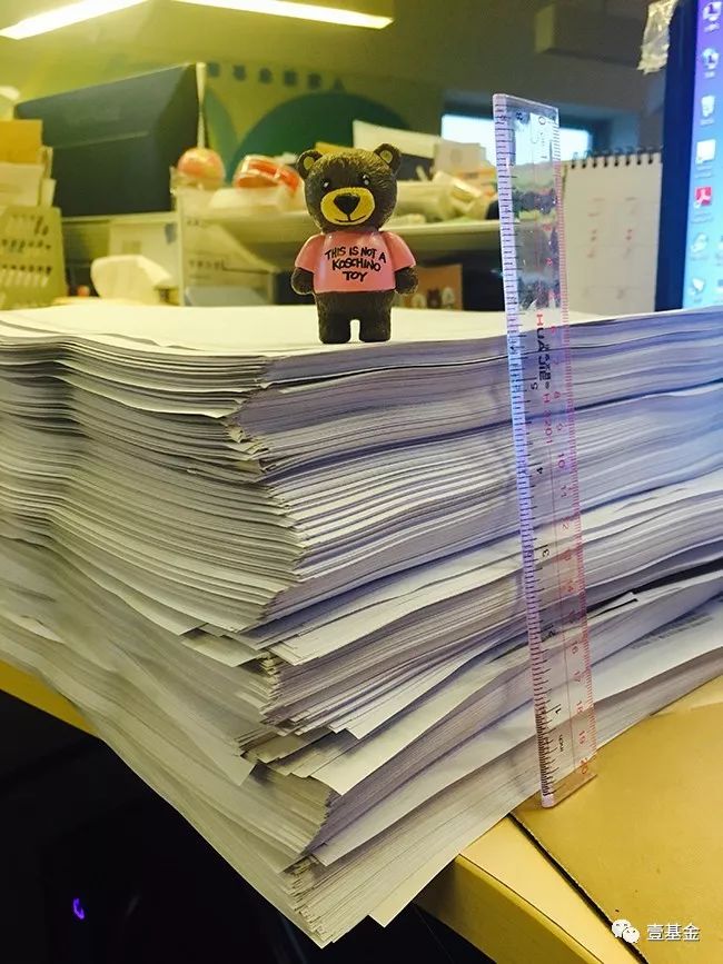 壹基金主要成就,壹基金的基本情况