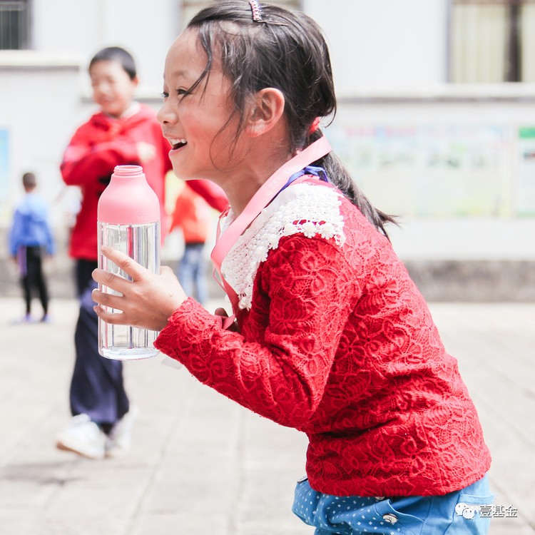 壹基金主要成就,壹基金的基本情况