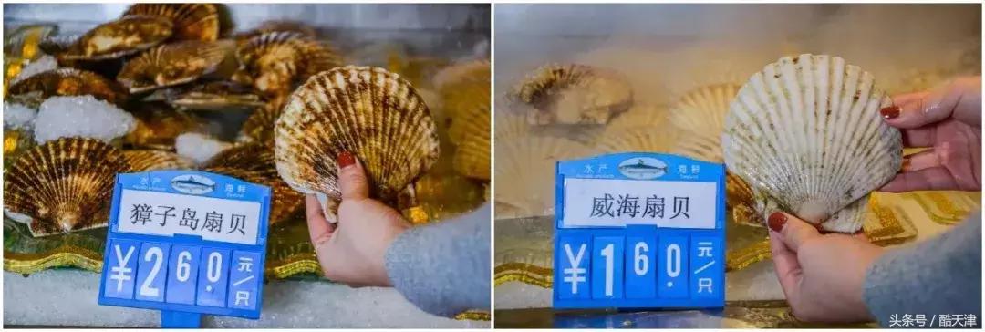 这家蒸汽海鲜真的很不错,蒸汽海鲜哪家最正宗