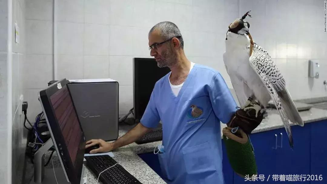 阿布扎比之行,阿布扎比四面八方