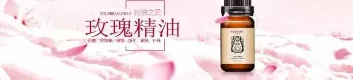 玫瑰精油和月季花精油,花中皇后玫瑰精油