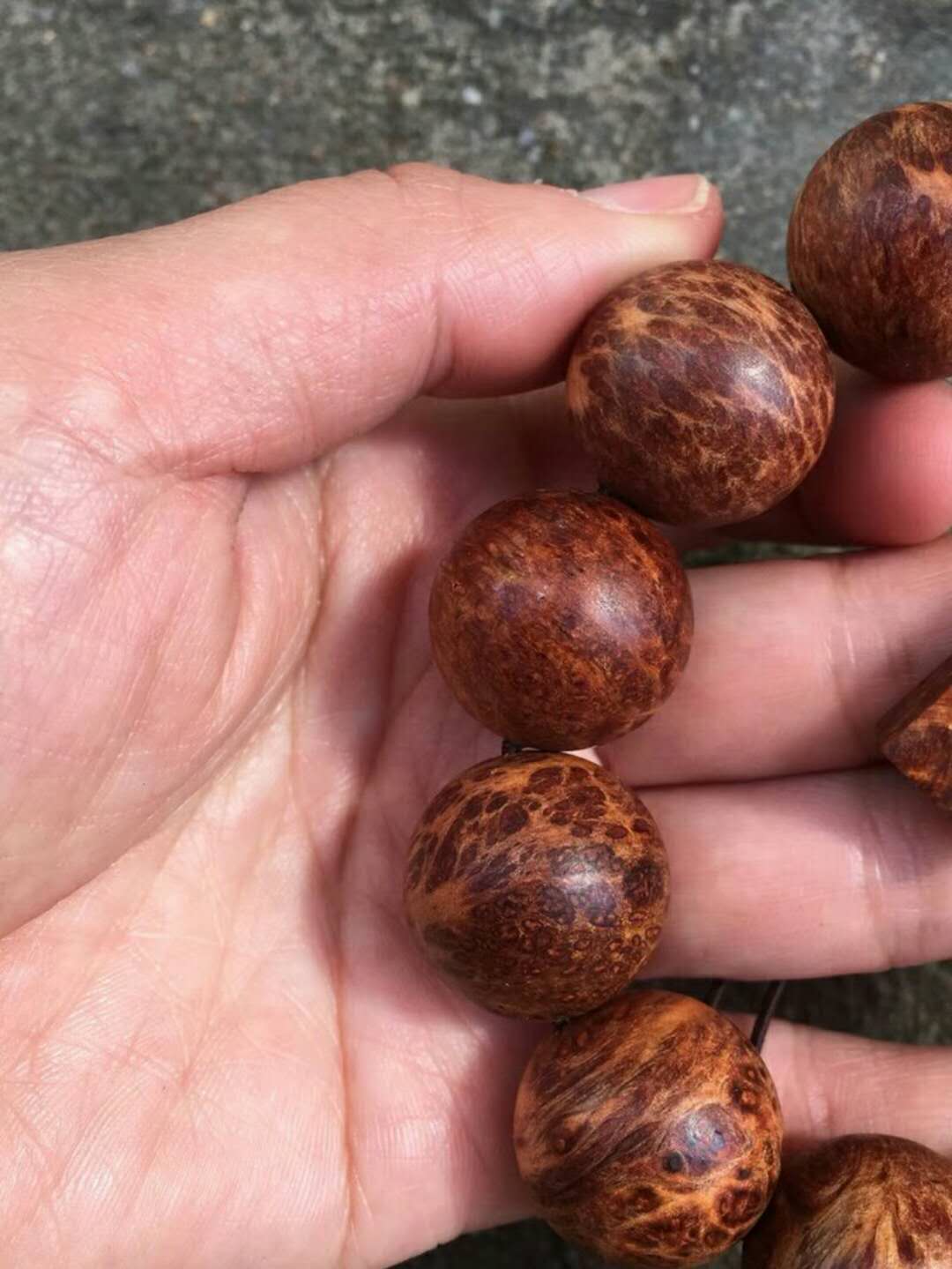 太行崖柏雷击木手串怎么盘玩,崖柏手串怎样快速盘出包浆