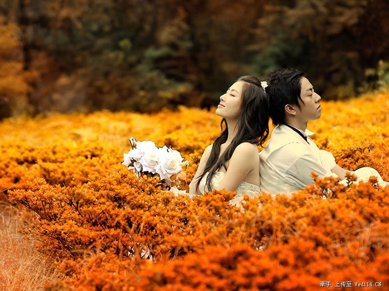 回味当年的纯爱小说，最美莫过于我爱你，你也爱我