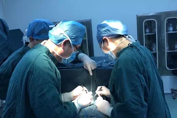 穆晓红脑瘫专家,脑瘫外科专家徐林