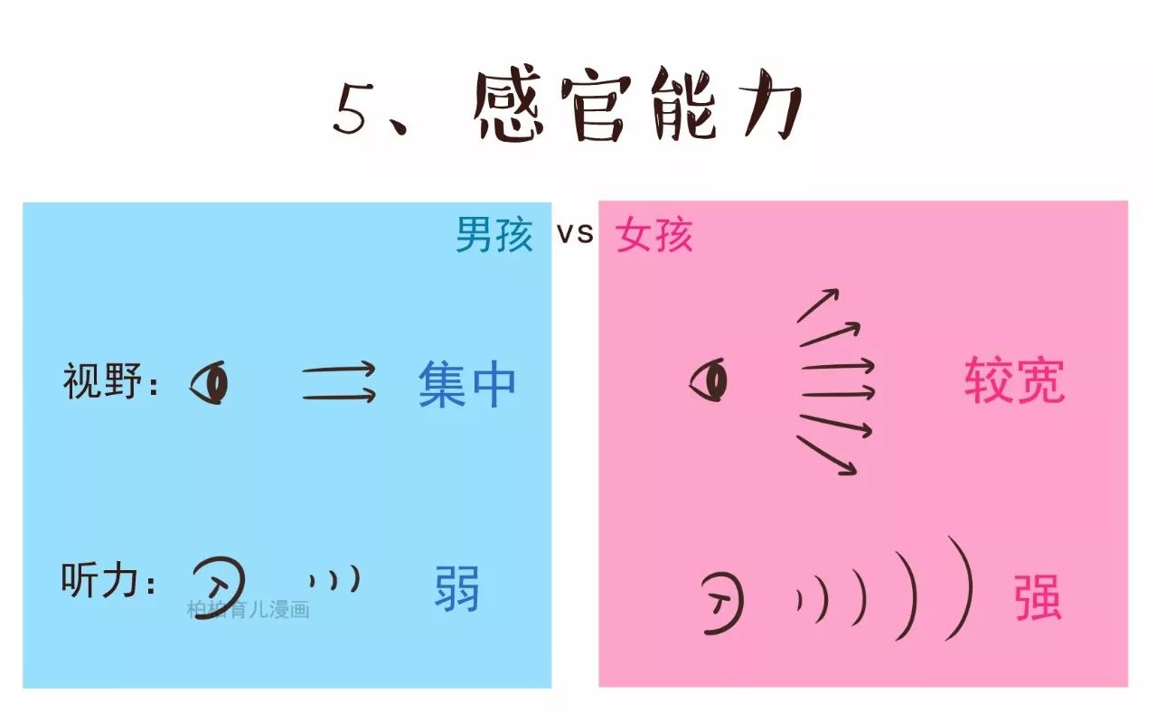 男女大脑构造差异图,从生物学角度揭秘大脑的9种性别