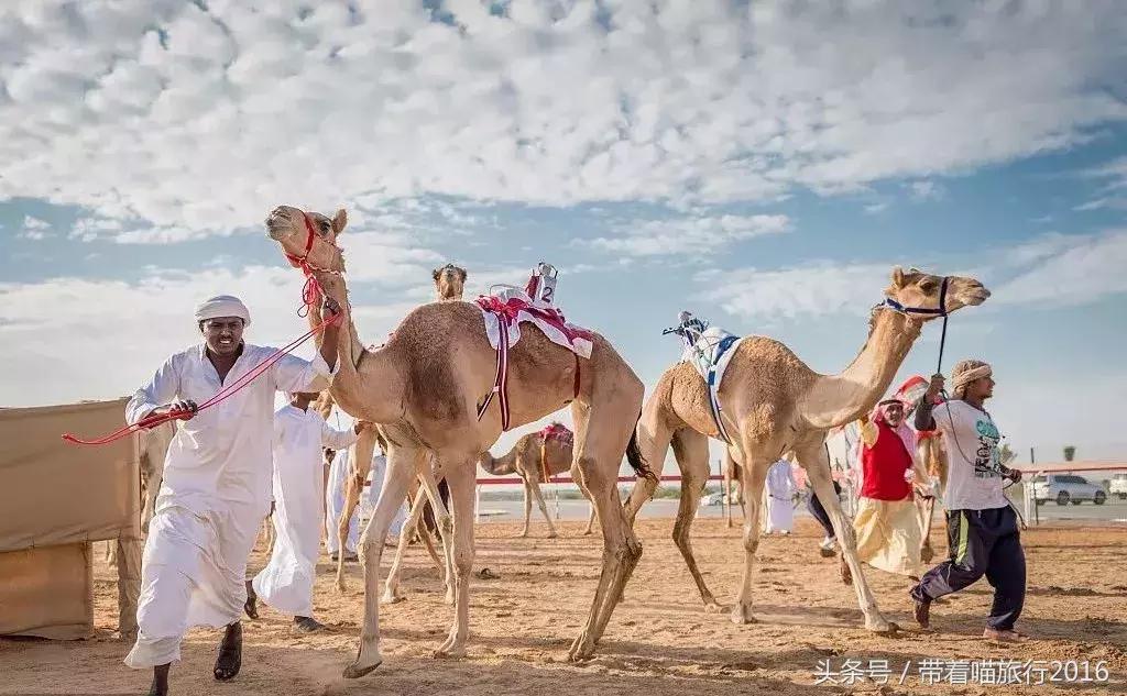 阿布扎比之行,阿布扎比四面八方