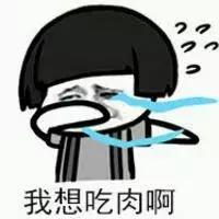 狗粮冠能品牌,狗粮品牌推荐冠能