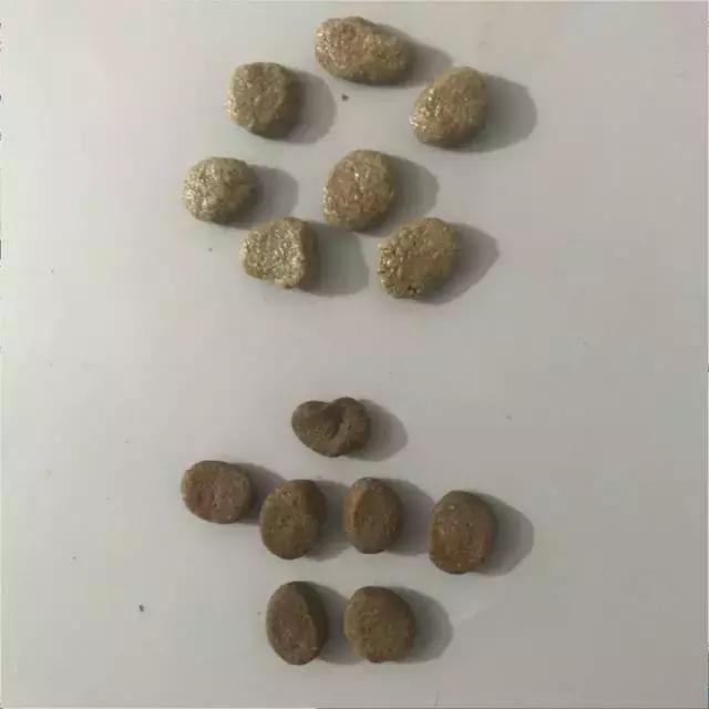 狗粮冠能品牌,狗粮品牌推荐冠能